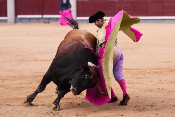 Morante de la Puebla volverá a los ruedos en Sevilla medio año después de retirarse