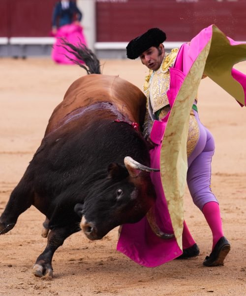 Morante de la Puebla volverá a los ruedos en Sevilla medio año después de retirarse
