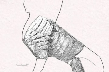 Hallada una esfinge romana en un yacimiento carpetano de Guadalajara