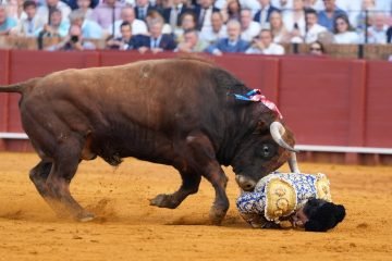 Morante pasa la noche en la UCI con una perforación rectal de evolución incierta