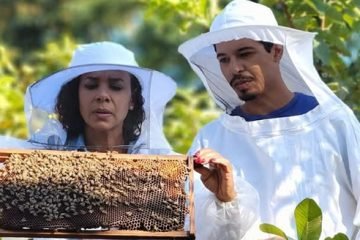 Vientos de primavera para una telenovela