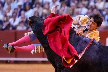 Roca Rey y Morante reaparecen este viernes en Jerez tras sus graves cogidas