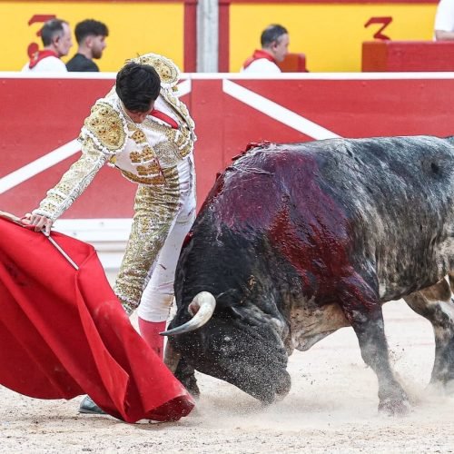 Galván y Diosleguarde pasean trofeos de una manejable corrida de Cebada Gago en Pamplona
