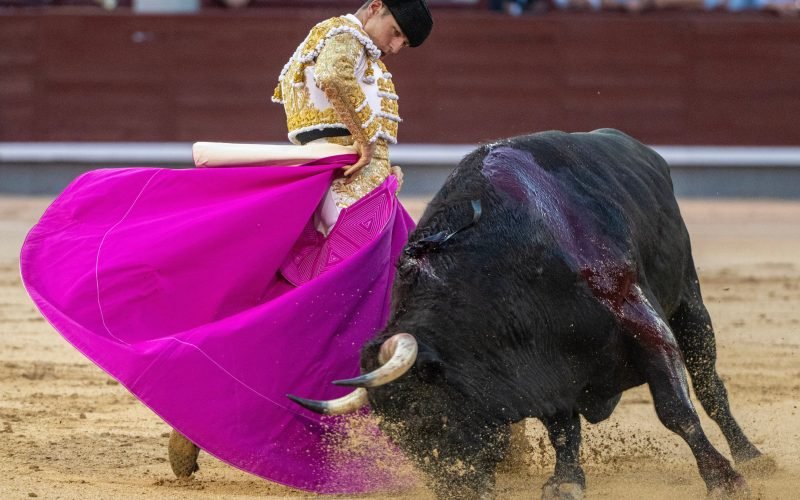 “¡Viva España…, pero no la casta!”