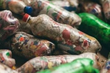 Primavera Live: recolectarán botellas plásticas para elaborar ladrillos ecológicos