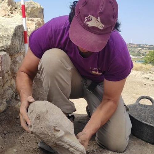 Hallada en Albacete la cabeza de una escultura de un joven íbero del siglo IV a. C.