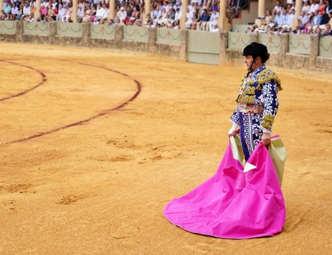 Morante se anuncia dos tardes en la feria del Pilar, la última gran cita de la temporada