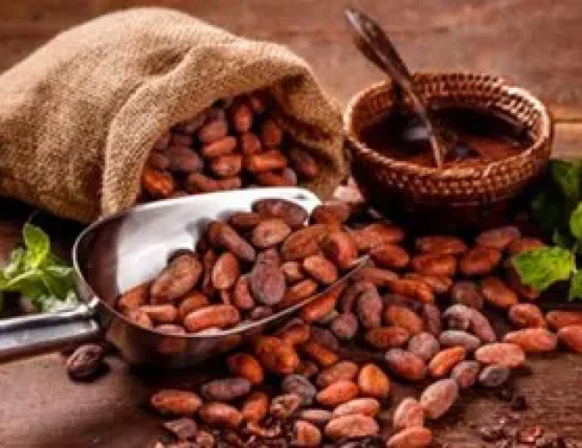 Ecuador revoluciona la historia del chocolate
