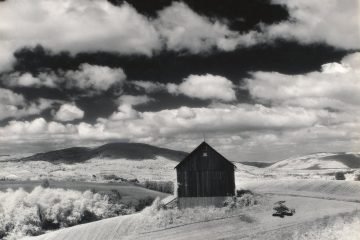 Minor White: la fotografía como bálsamo de la homosexualidad reprimida