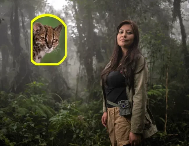 Entre gatos, ciencia y cine con Paola Nogales