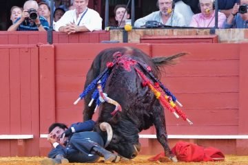 Talavante, herido grave en el festival que cerró la temporada sevillana